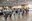 Carnaval gent gran 2017-006.jpg