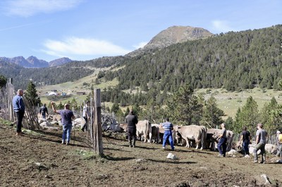 Vacada Grau Roig Encamp.