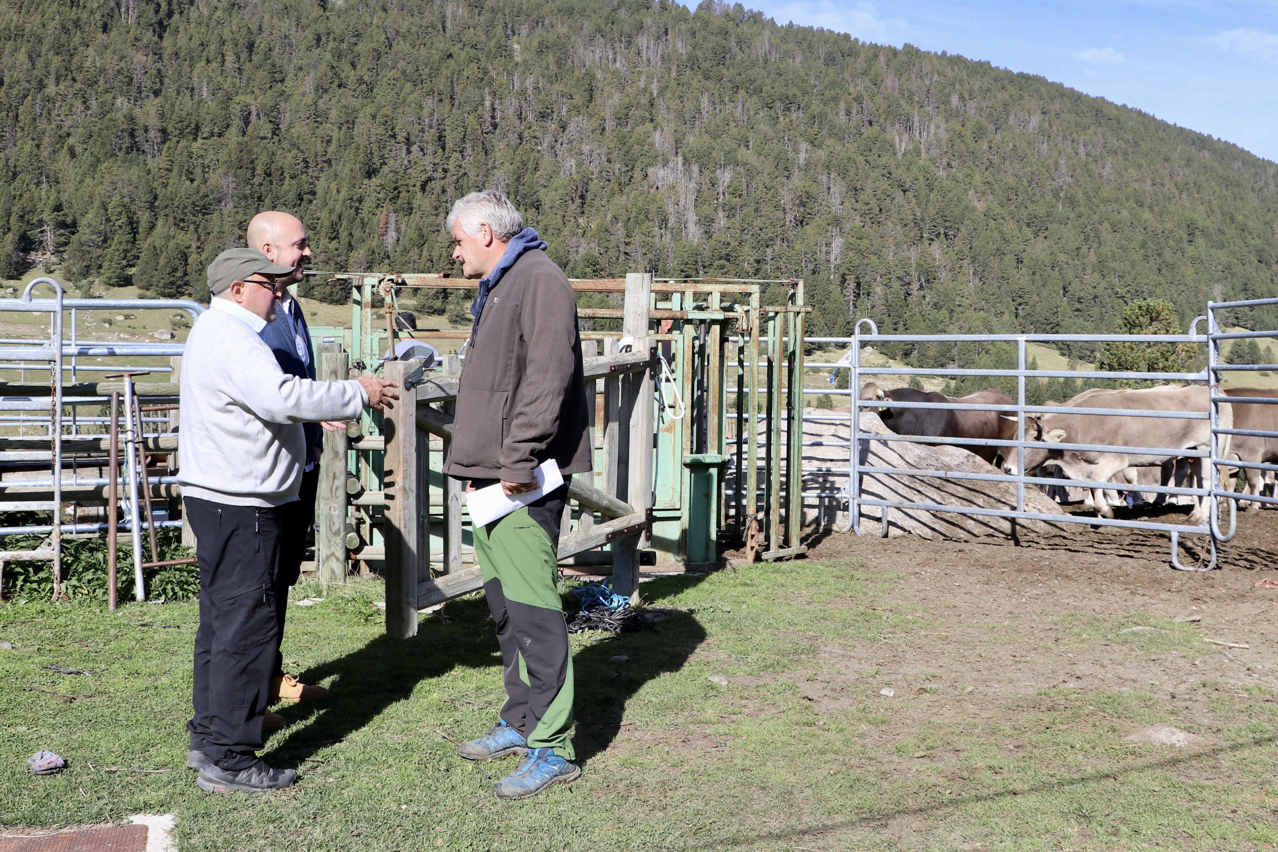 Vacada Grau Roig Encamp