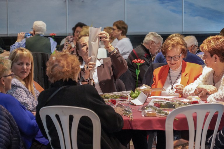 20240423 Sant Jordi Gent Gran i Taller infantil @ComuEncamp (46).jpg