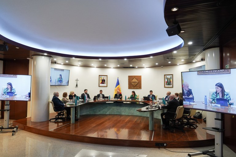 20240530 Consell de comú @ComuEncamp (35).jpg