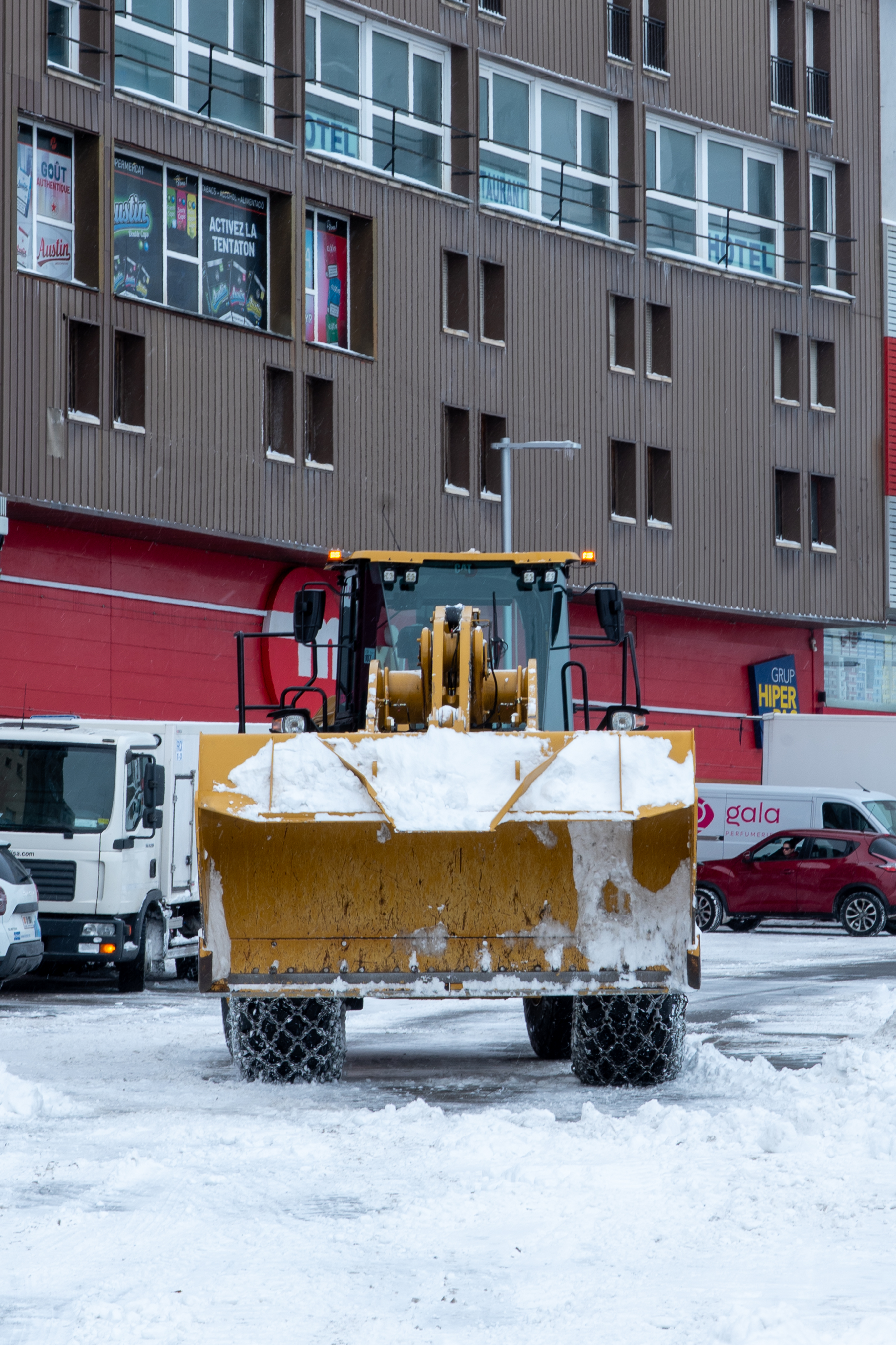 DSC_1564.jpg