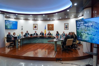 20240205 Consell de les Talles @ComuEncamp (5).jpg.