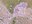 Vista Orri dron 2.jpeg