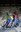 Traginers de pulsions - FS-51.jpg