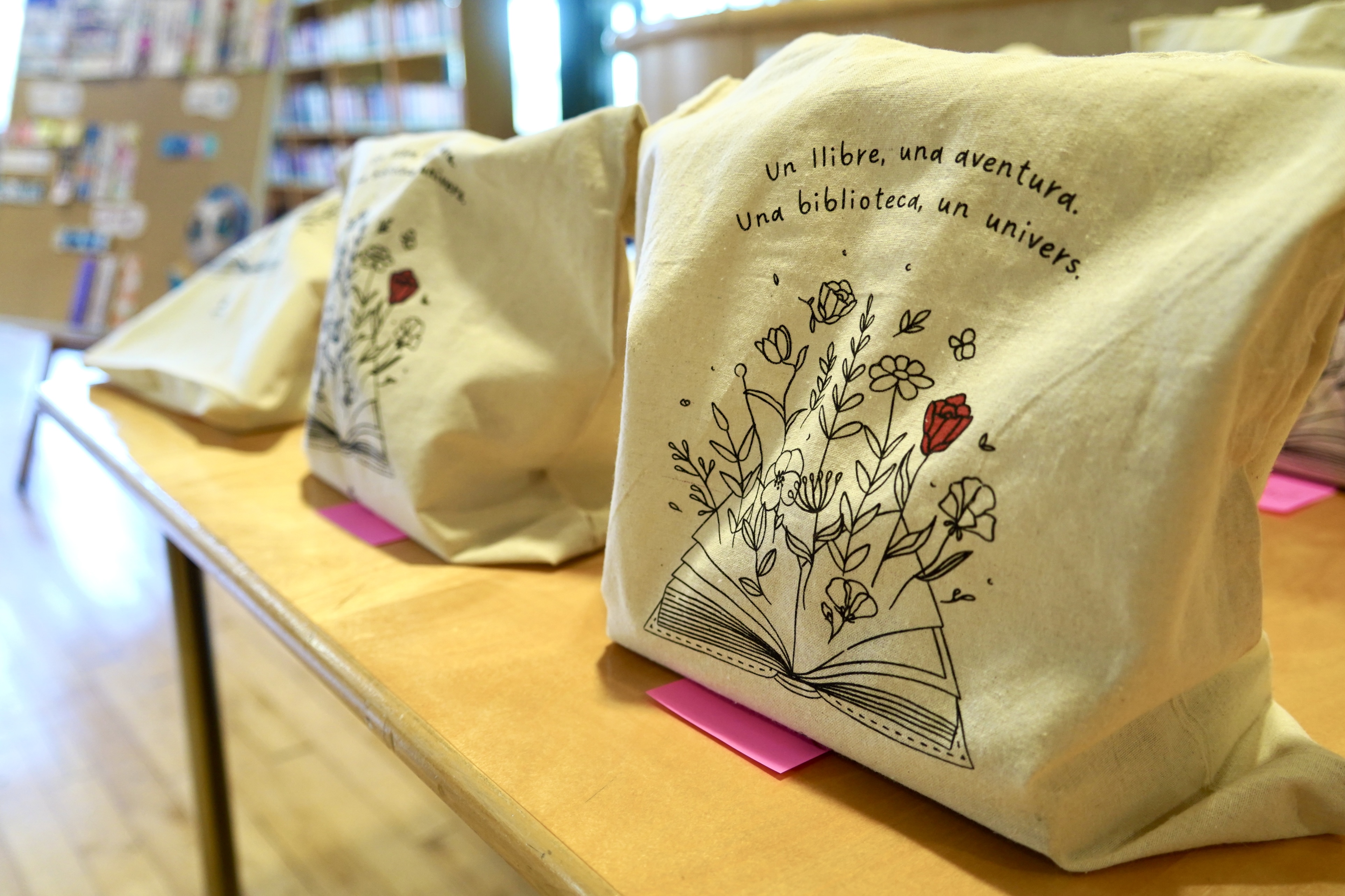 20250528 concurs punts de llibre El Pas de la Casa ( (26).jpg