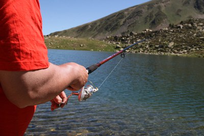 Concurs pesca Abelletes - 003.JPG.