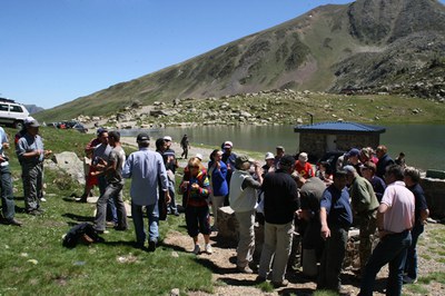 Dinar popular Abelletes - 003.JPG.