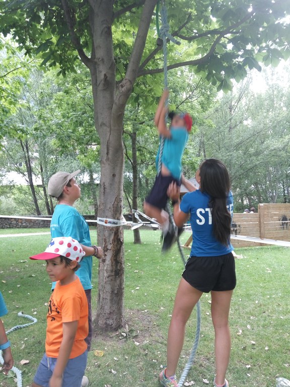 IMG_20160729_182328.jpg