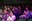 20250508 Jarana @comuencamp-16.jpg