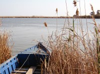 L’APAE organitza una sortida al Delta de l’Ebre