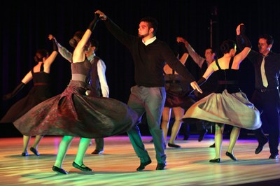 Mimetismes 2015-005.JPG.