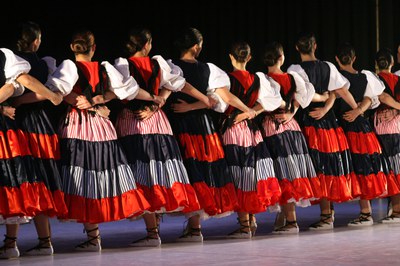 Mimetismes 2015-012.JPG.
