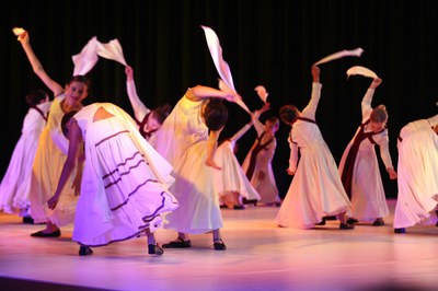 Mimetismes 2015-016.JPG.