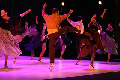 Mimetismes 2015-019.JPG.