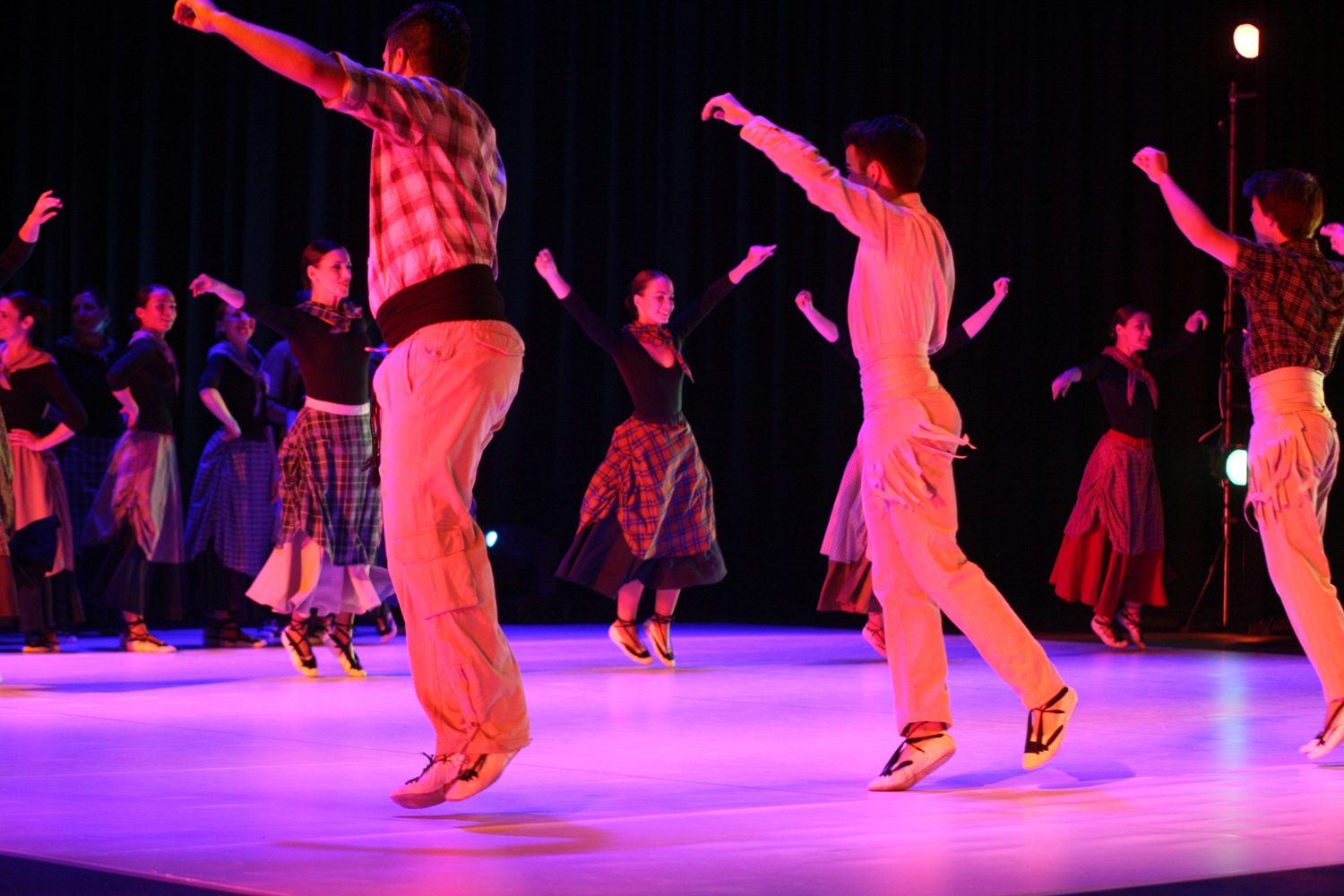 Mimetismes 2015-022.JPG