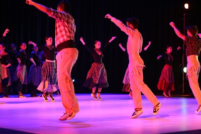 Mimetismes 2015-022.JPG.