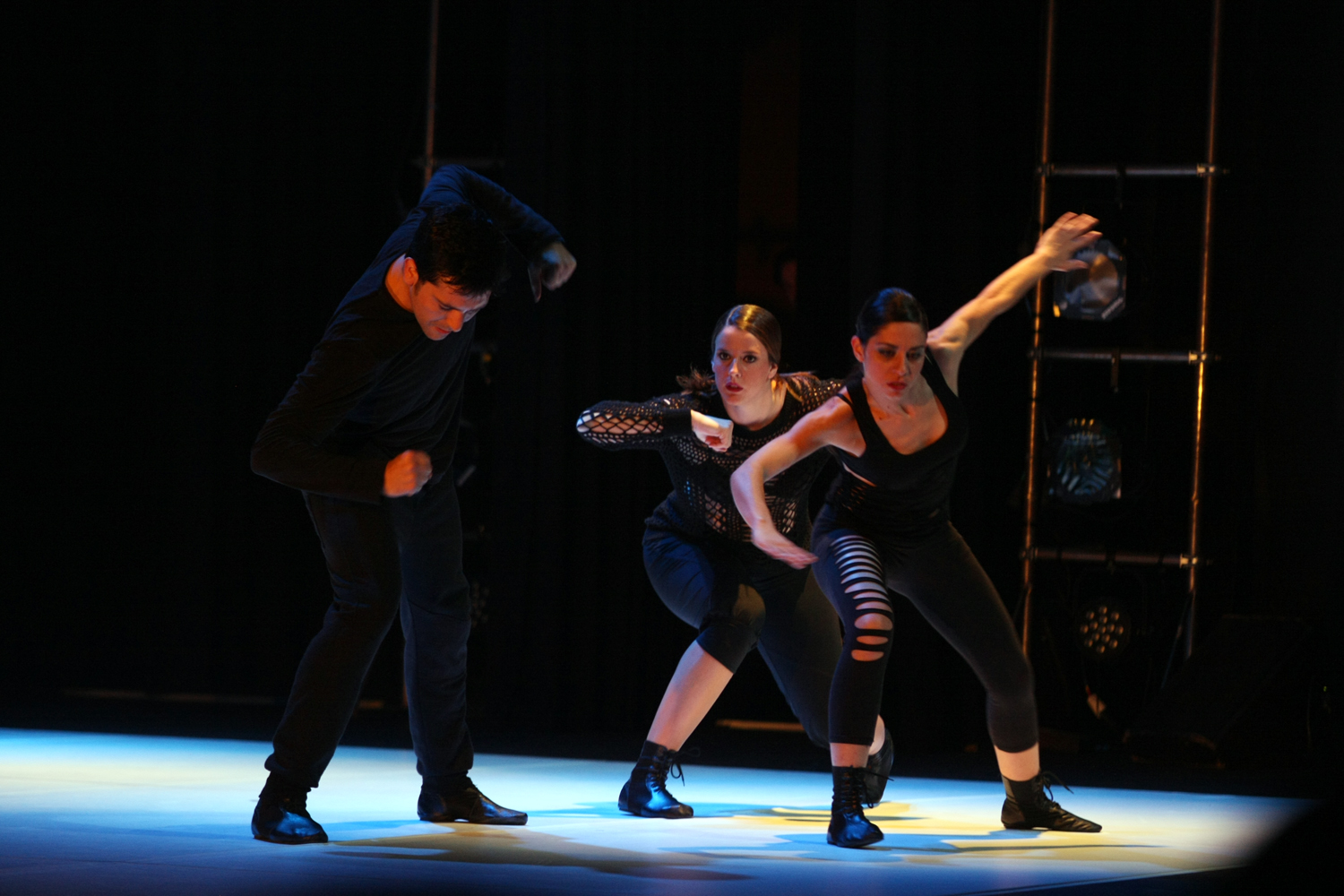 Mimetismes 2015-035.JPG