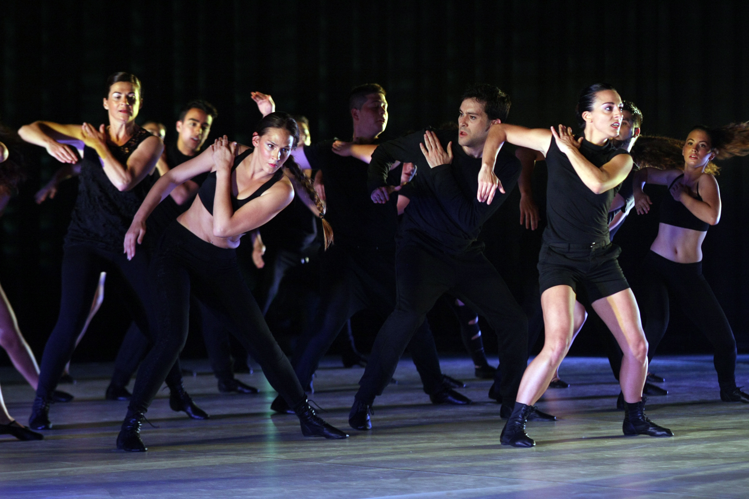Mimetismes 2015-038.JPG