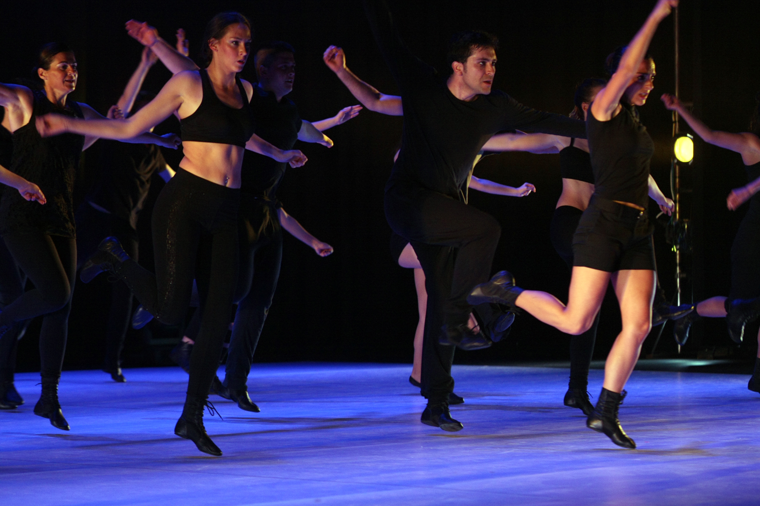 Mimetismes 2015-039.JPG