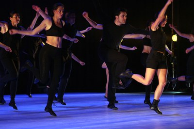 Mimetismes 2015-039.JPG.