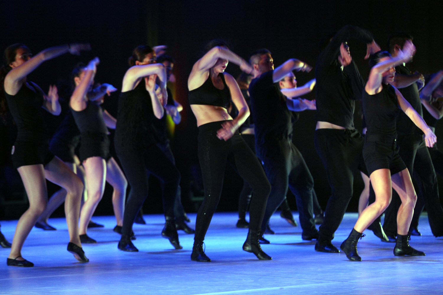 Mimetismes 2015-040.JPG