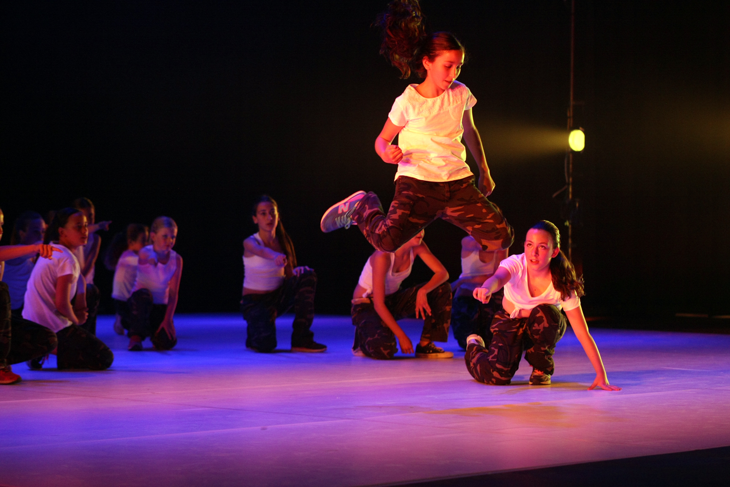 Mimetismes 2015-043.JPG