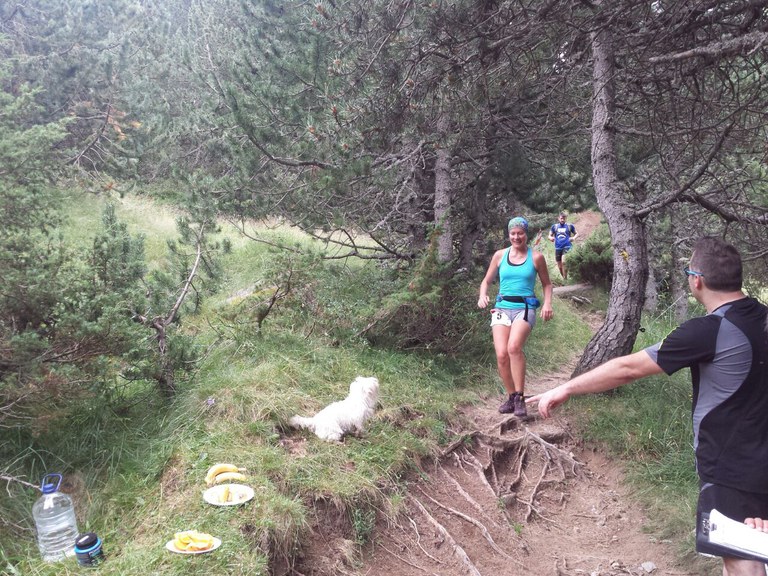 Travessa Encamp-007.jpg