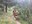 Travessa Encamp-010.jpg