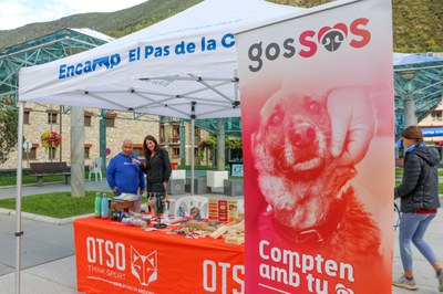 20251004 ambient correcanins encamp @ComuEncamp (25).jpg.