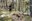 20251004 CorreCanins 10 k @RCAudiovisual @ComuEncamp (1).jpg