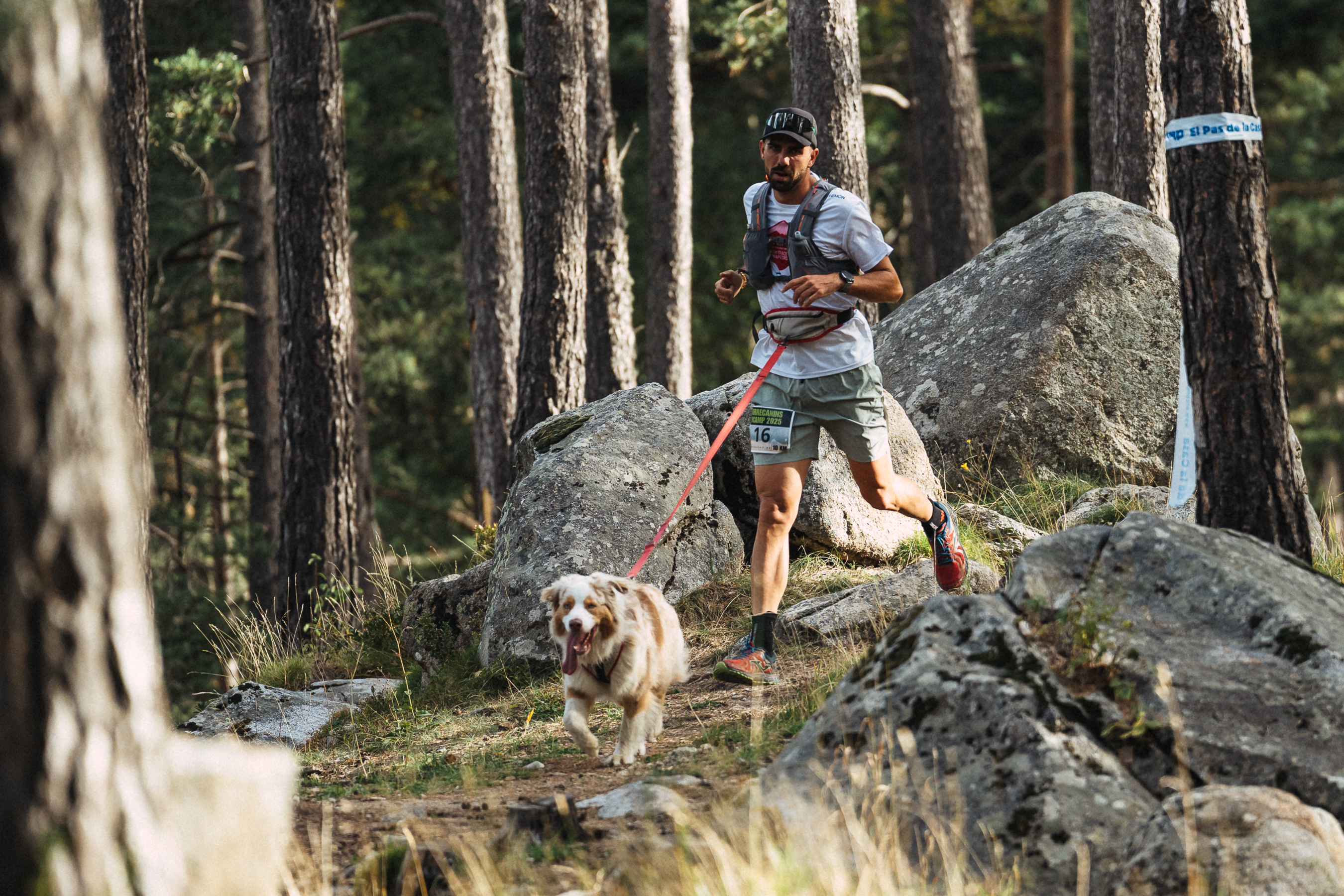 20251004 CorreCanins 10 k @RCAudiovisual @ComuEncamp (2).jpg