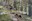 20251004 CorreCanins 10 k @RCAudiovisual @ComuEncamp.jpg