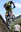 Biketrial-024.jpg