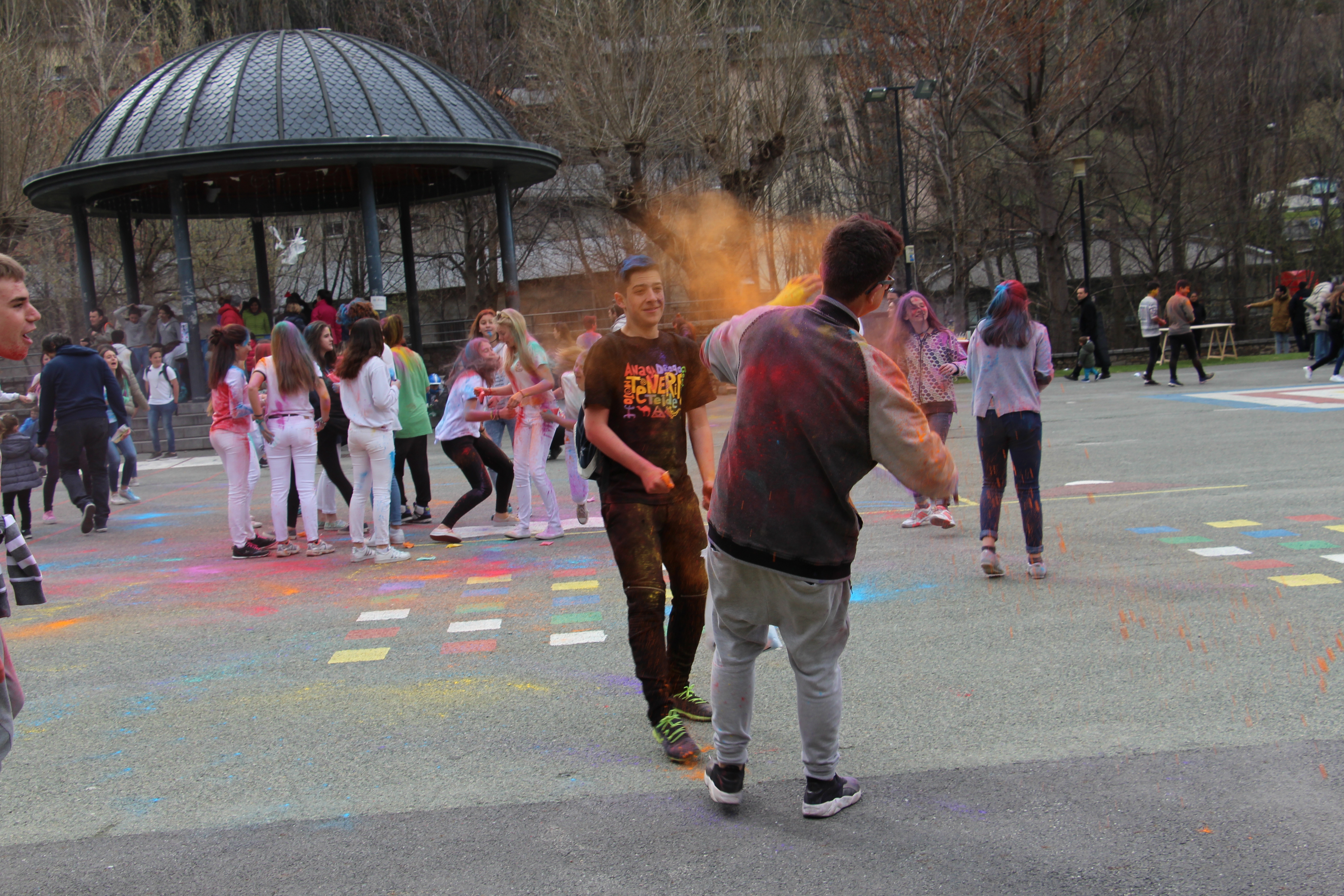 Festa Holi