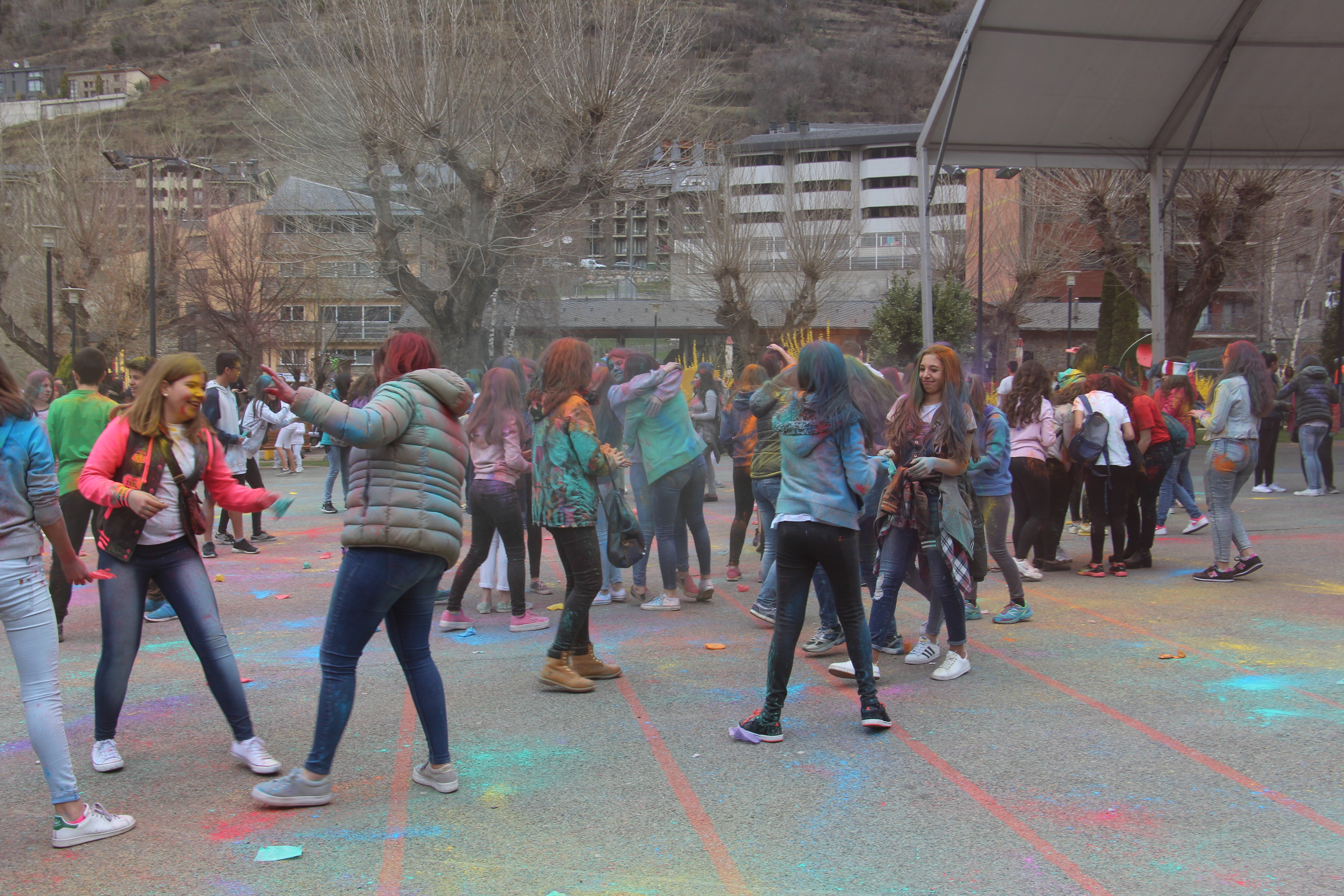 Festa Holi