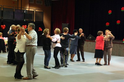 Festa Sant Jordi-015.jpg.