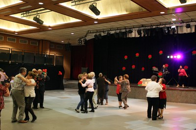 Festa Sant Jordi-016.jpg.