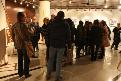 IMG_9708.JPG.