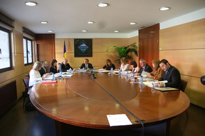 Consell de Comú.