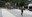 20160723_173209_resized.jpg