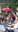 20160723_175030_resized.jpg