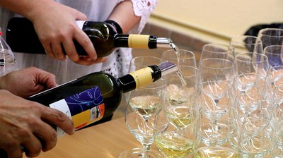 Vibiosons 2018-006.jpg.