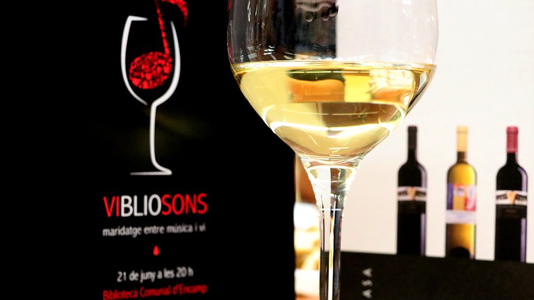 Vibiosons 2018-008.jpg