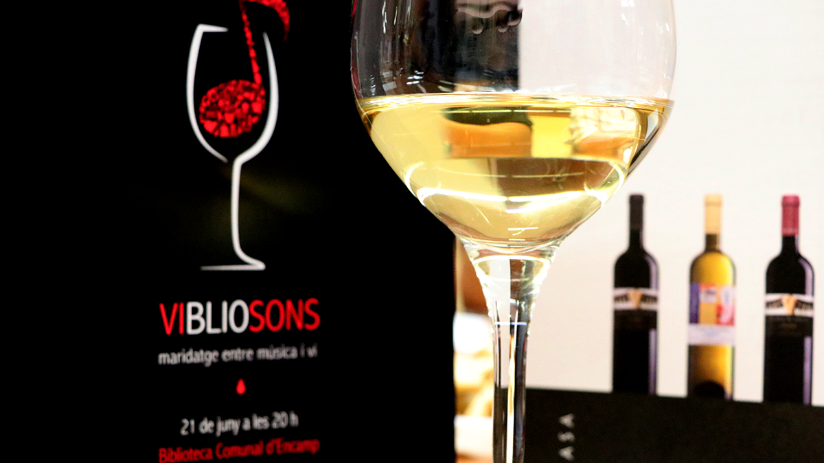 Vibiosons 2018-008.jpg
