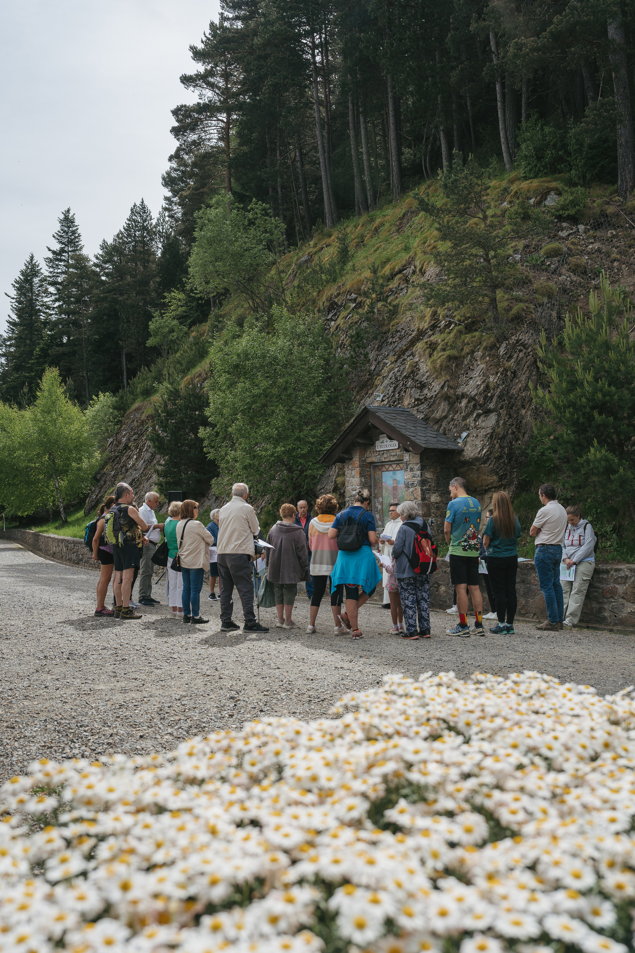 20260606_MARE DE DÉU DE L_ECOLOGIA - 20.jpg