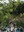 20260606_MARE DE DÉU DE L_ECOLOGIA - 34.jpg