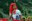 La Vuelta 2015 - Cortals -077.jpg