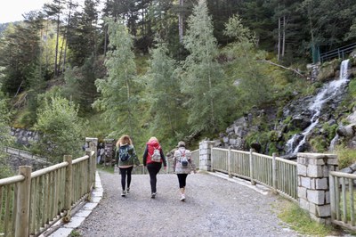 Sortida a Les Pardines i el llac d'Engolasters com a activitat del programa de lleure de la gent gran.