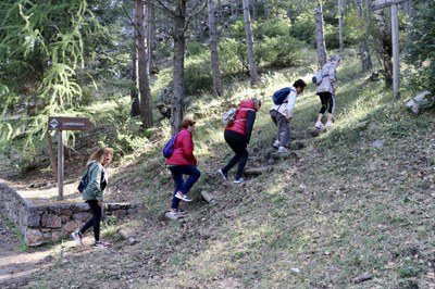 Sortida a Les Pardines i el llac d'Engolasters com a activitat del programa de lleure de la gent gran.